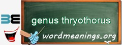 WordMeaning blackboard for genus thryothorus